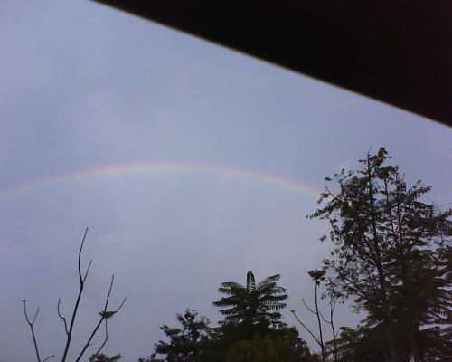 rainbow over the train
